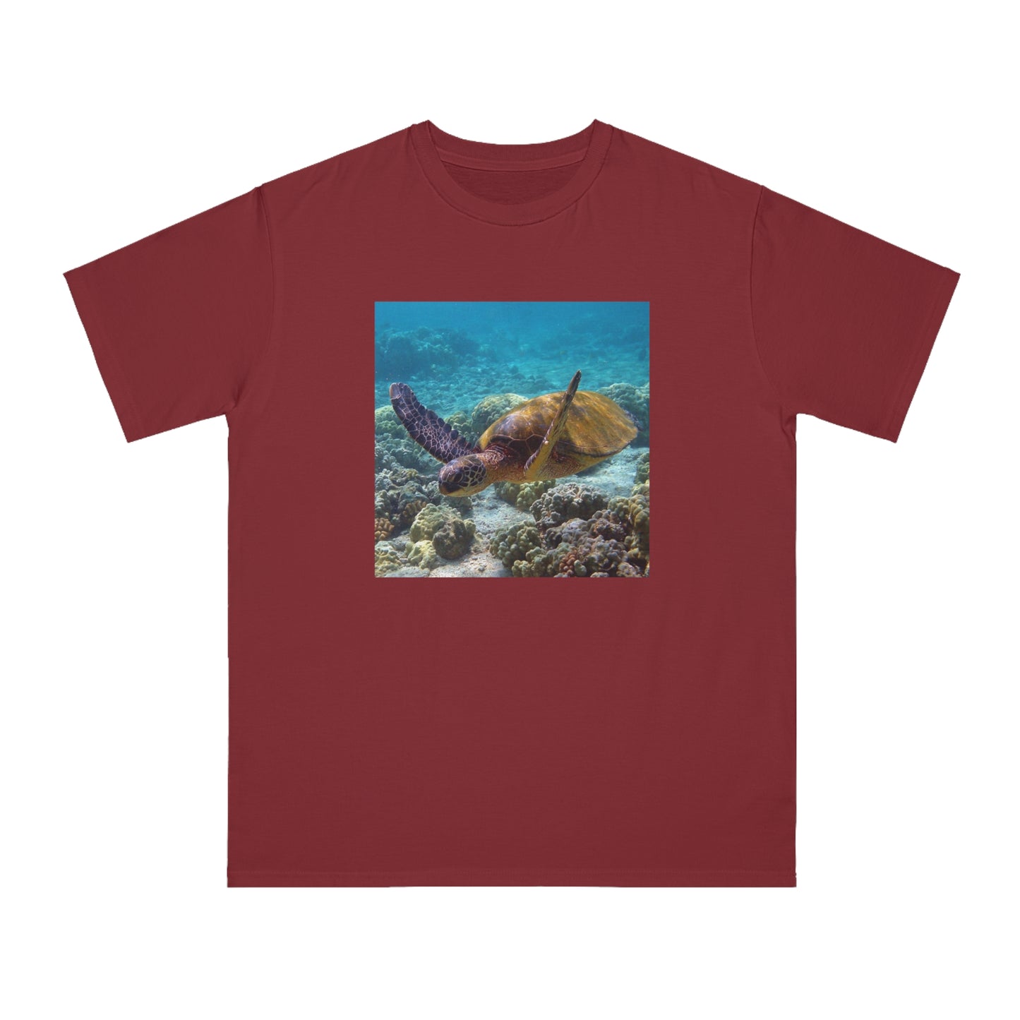 Sea Turtle