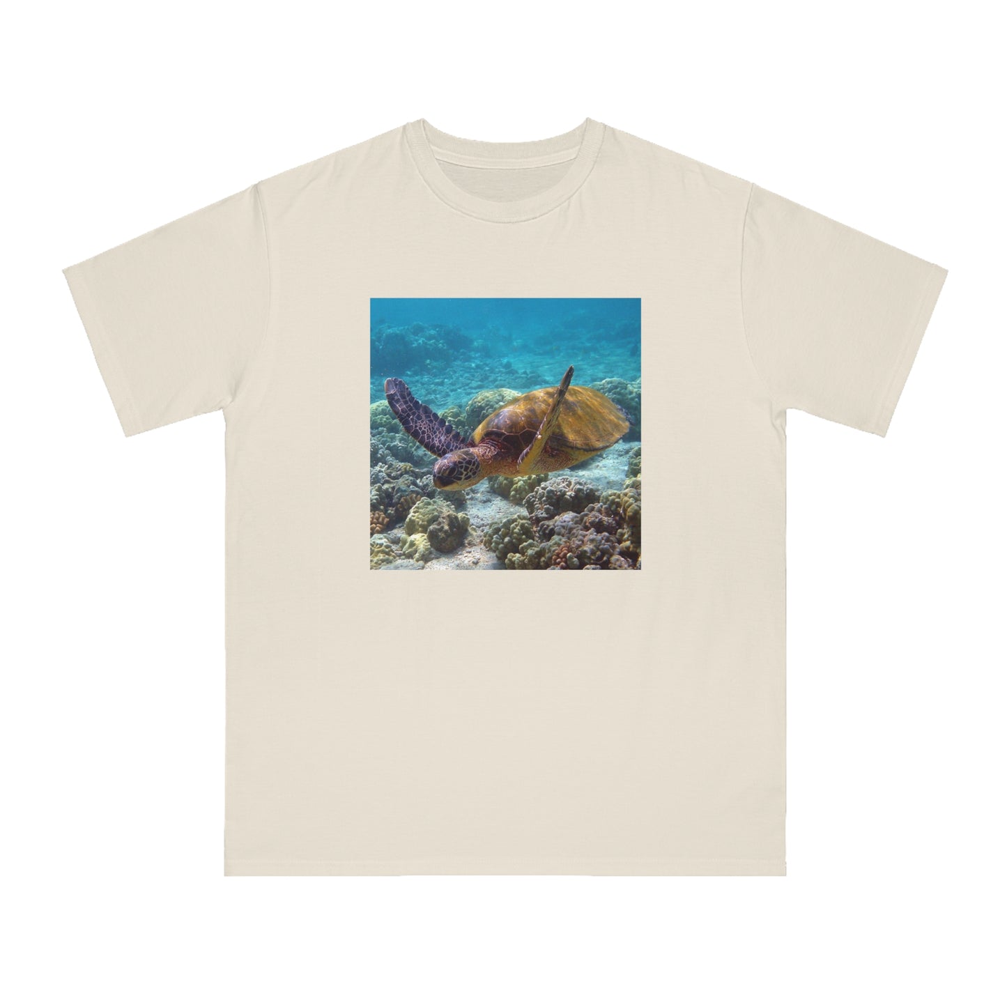 Sea Turtle