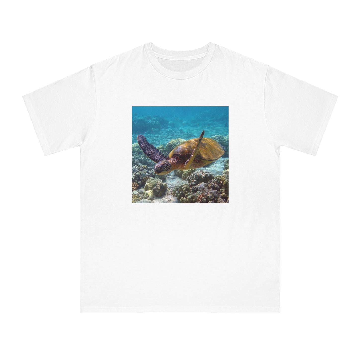 Sea Turtle