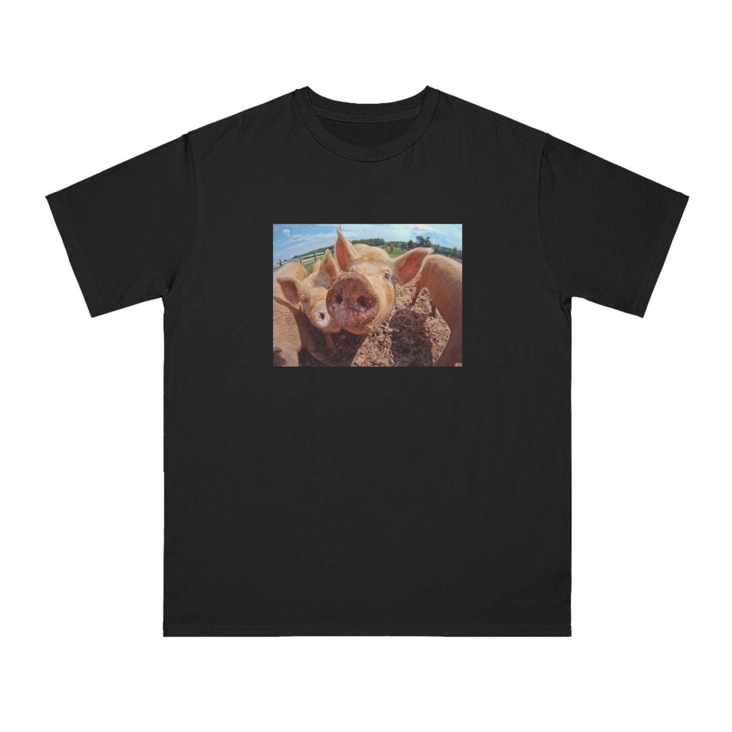 Pig
