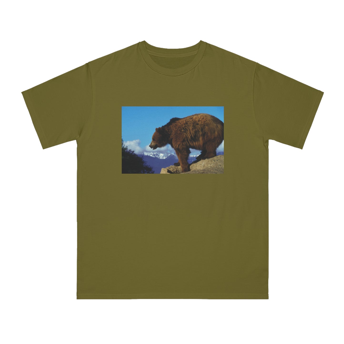 Bear