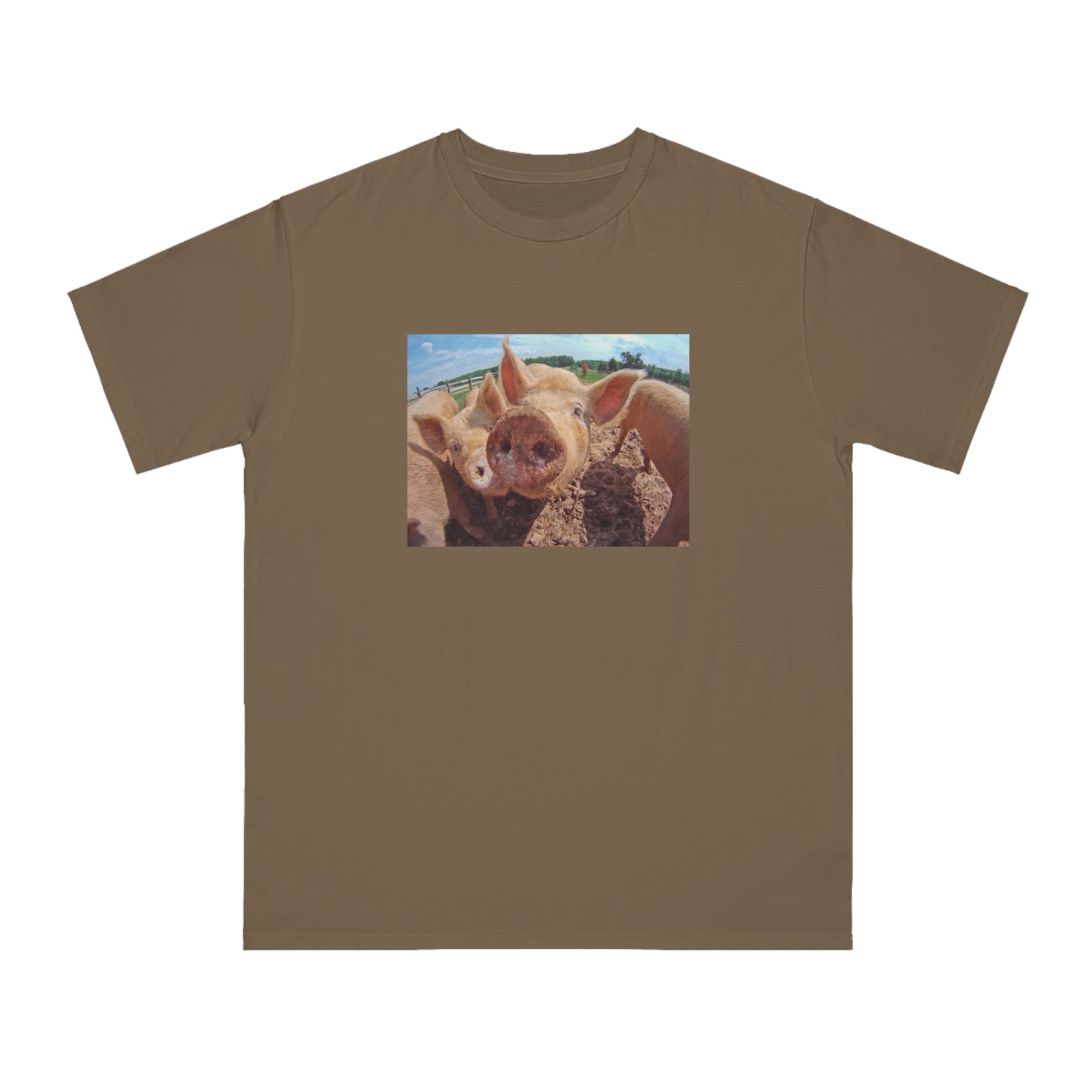 Pig