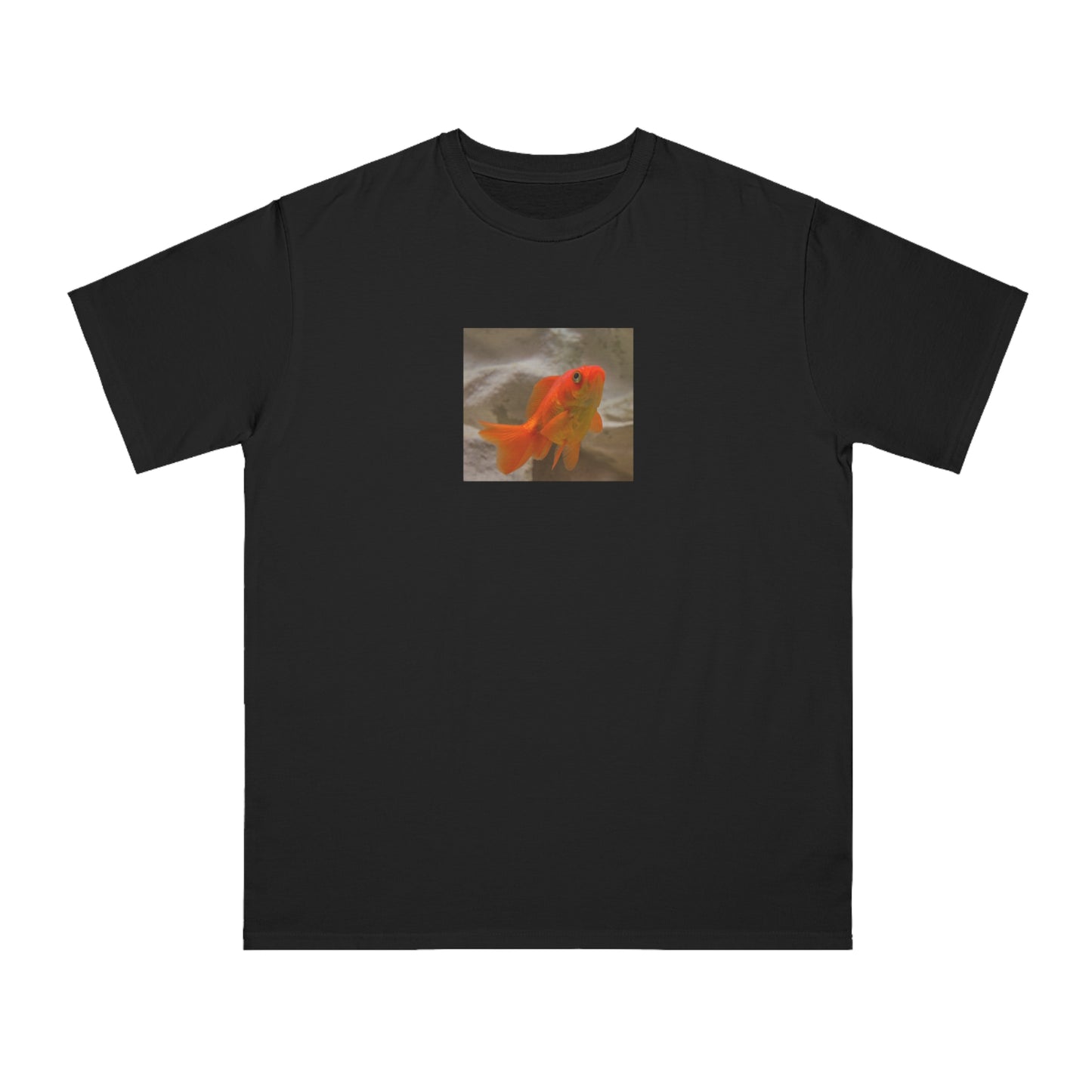 Goldfish