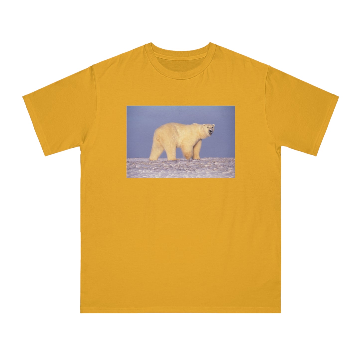 Polar Bear