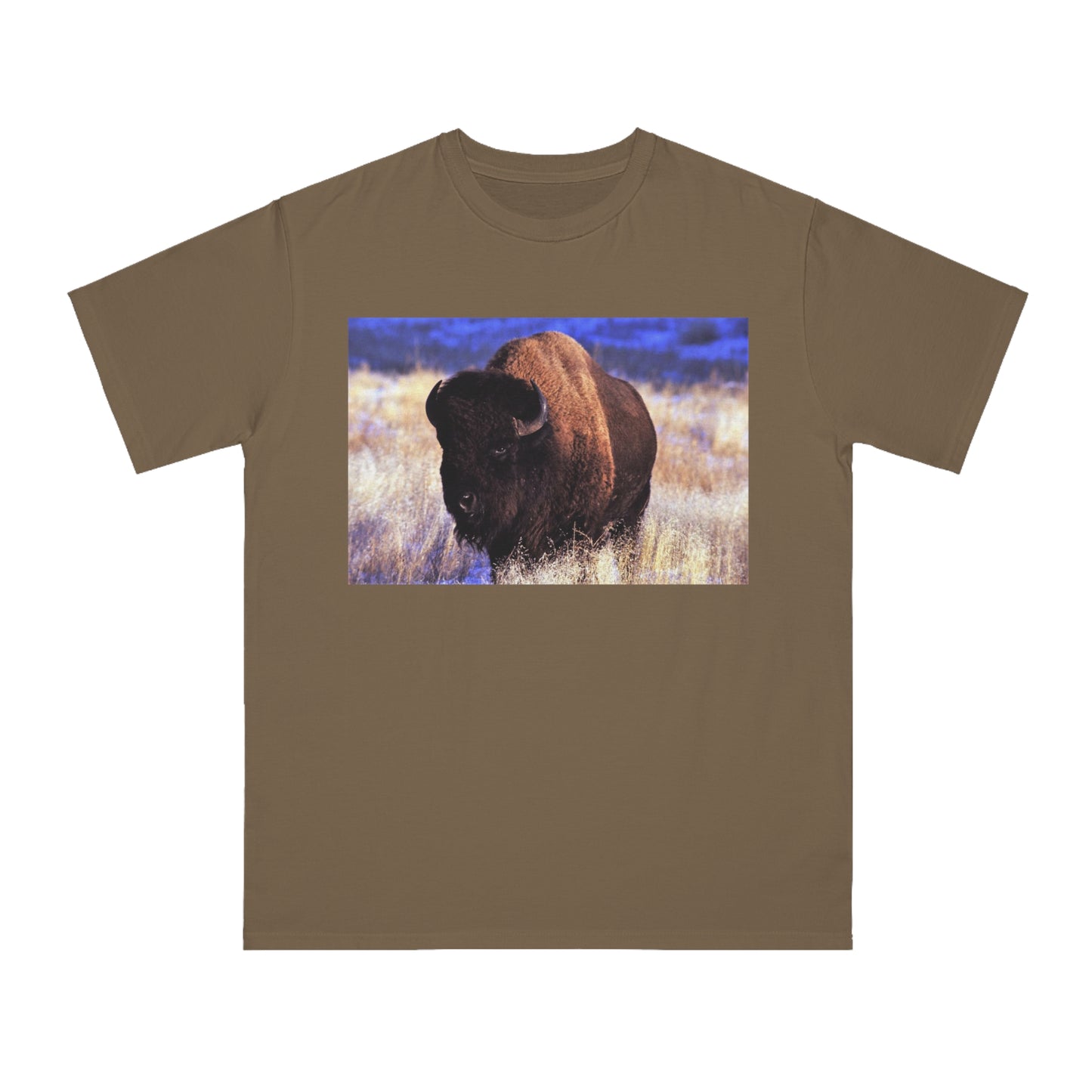 Buffalo
