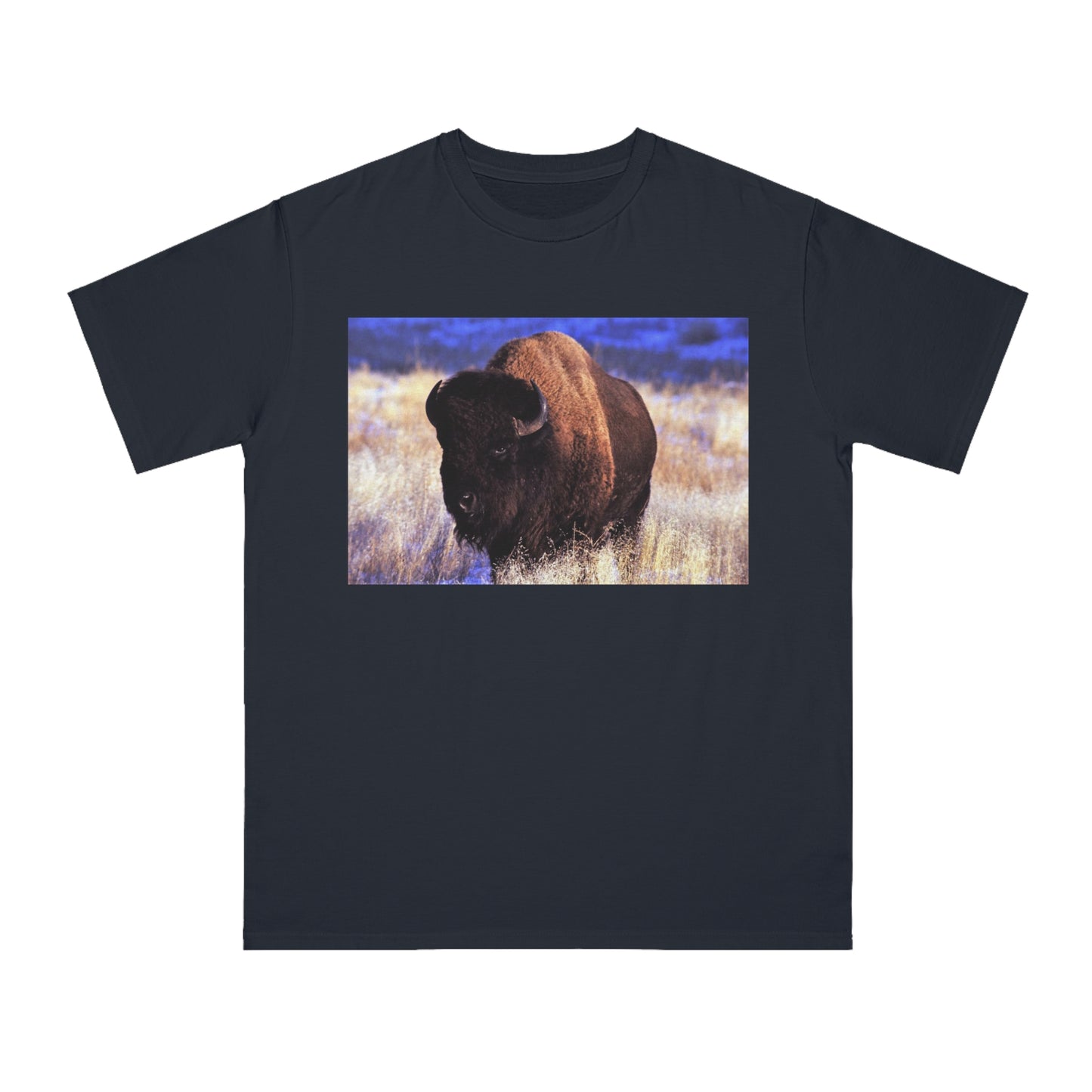 Buffalo