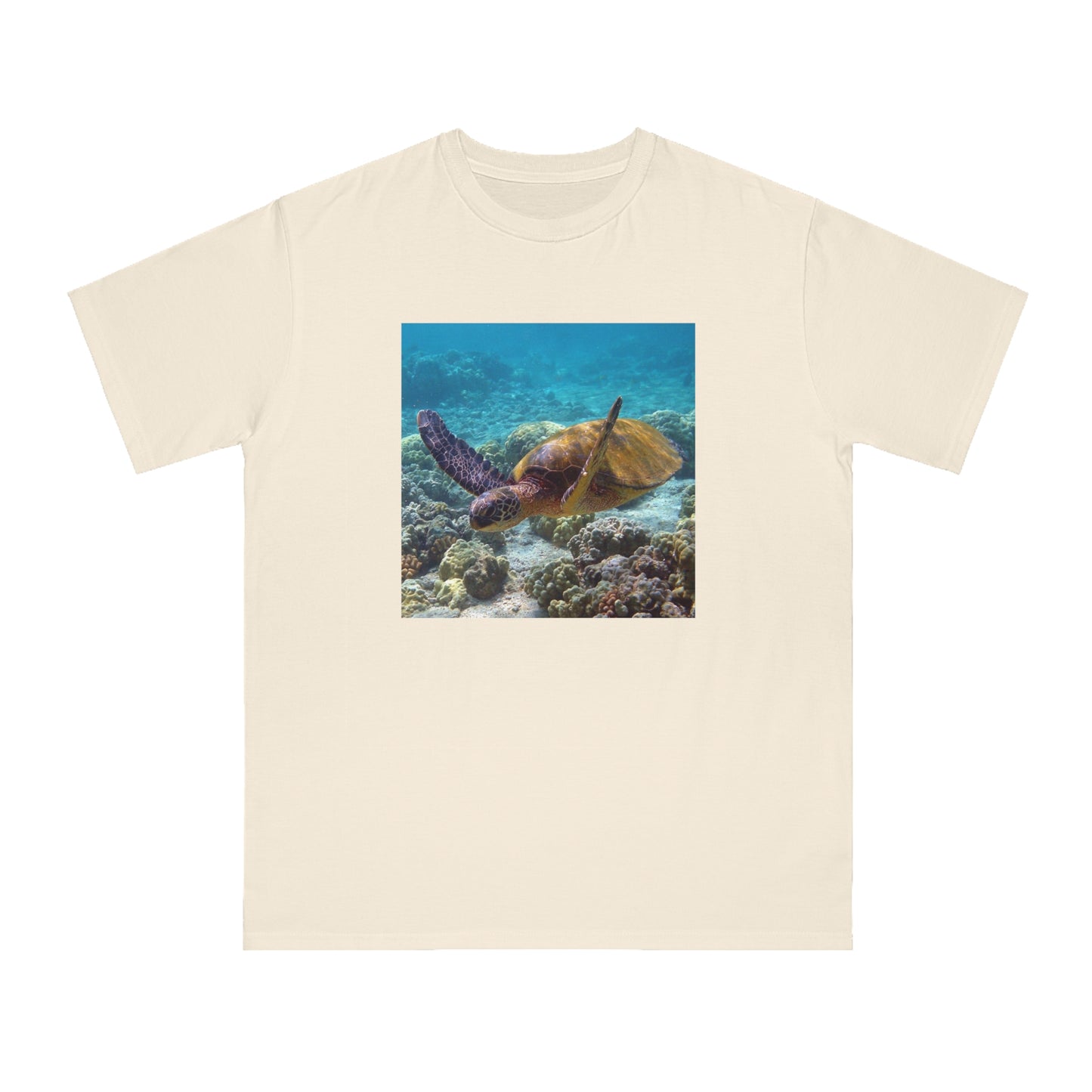 Sea Turtle
