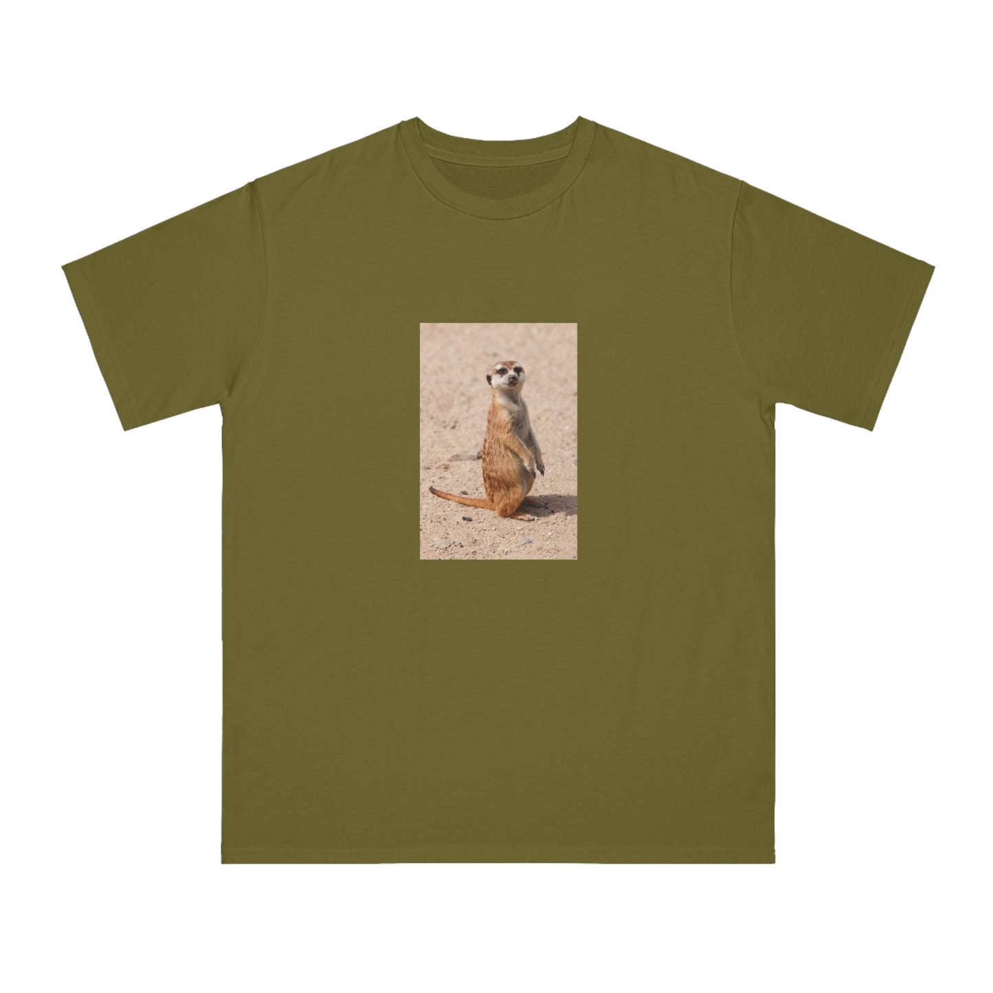 Meerkat