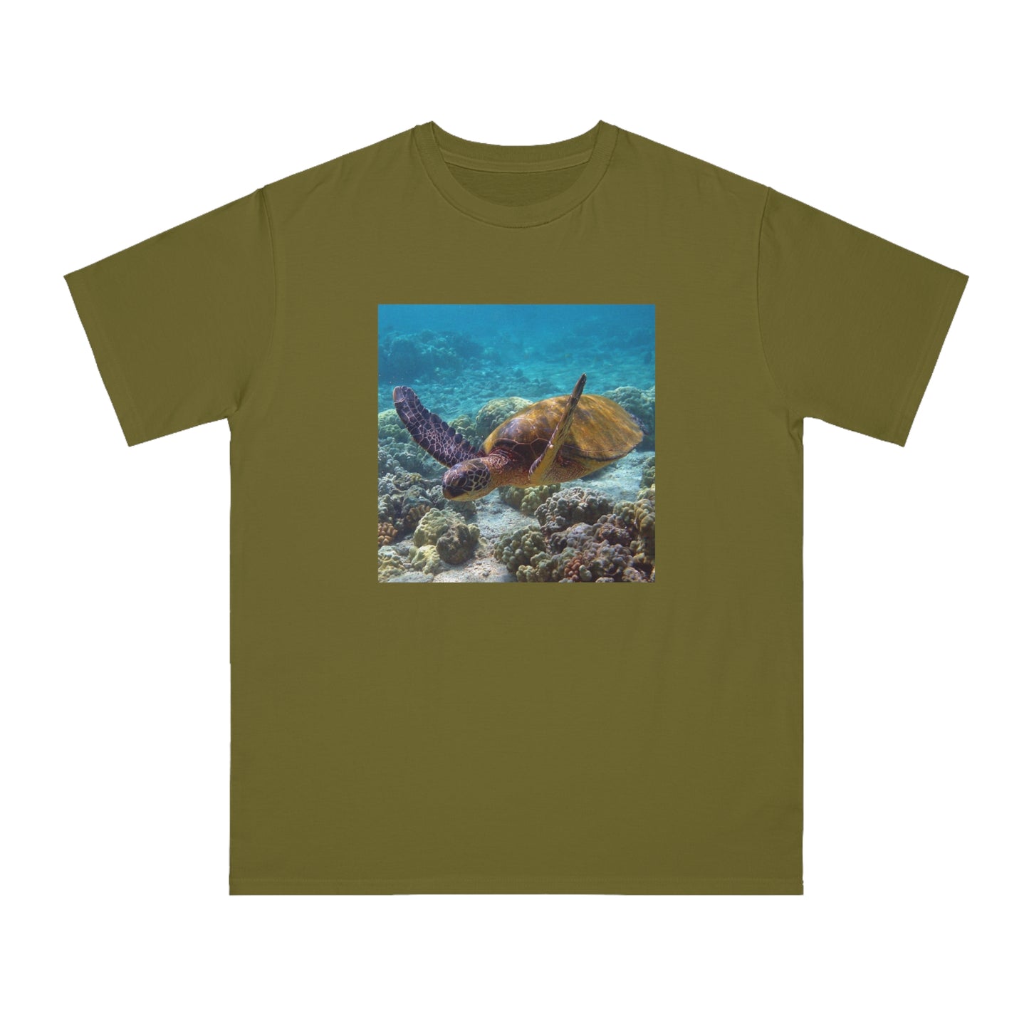 Sea Turtle