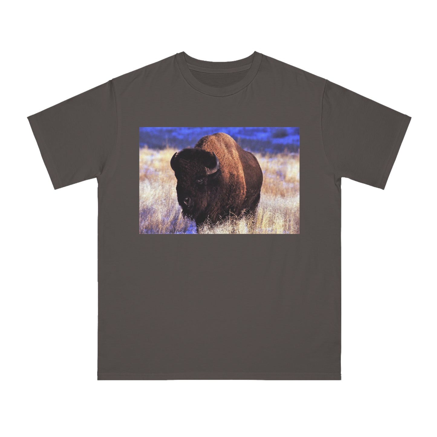Buffalo
