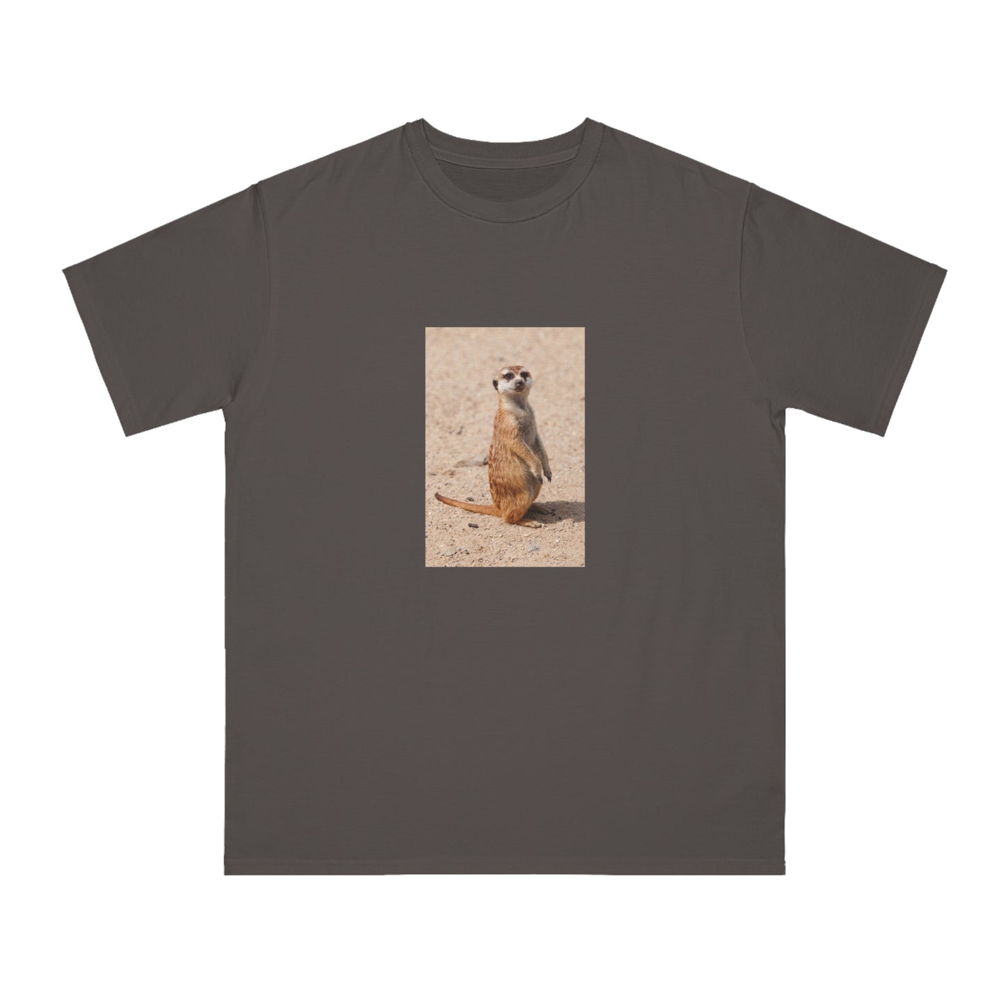 Meerkat