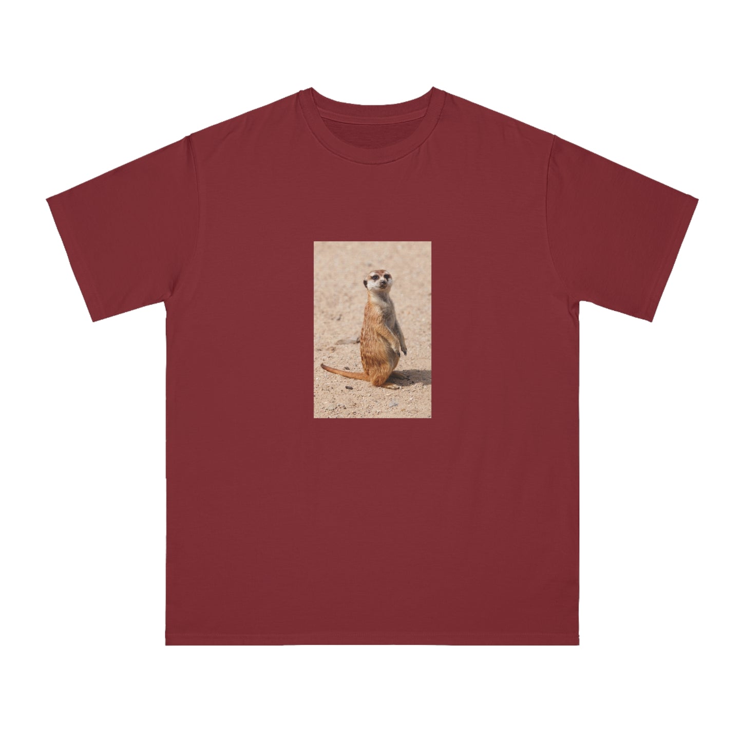 Meerkat