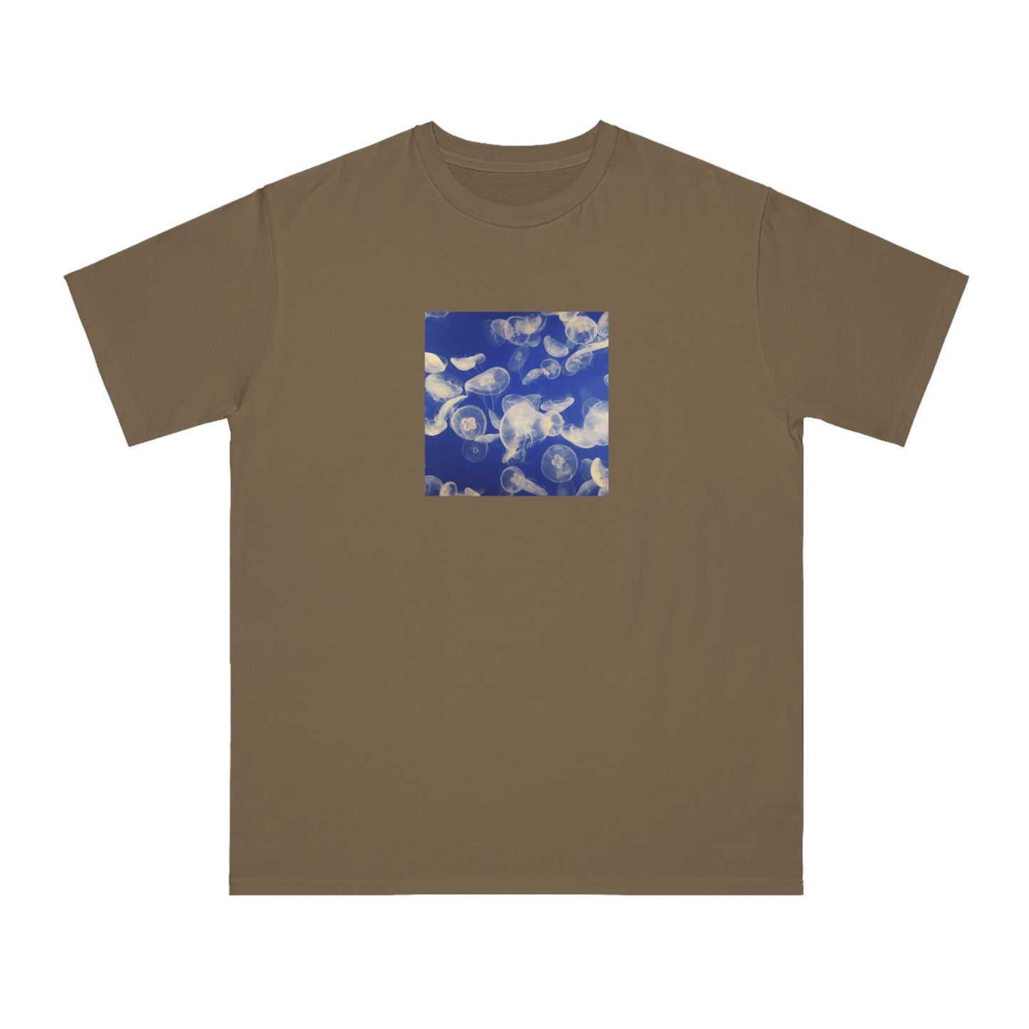 Jellyfish