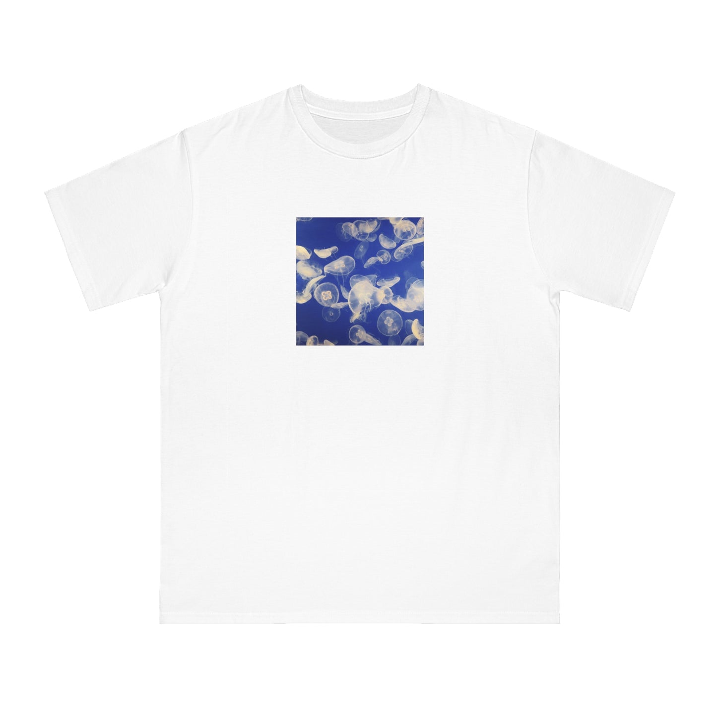 Jellyfish