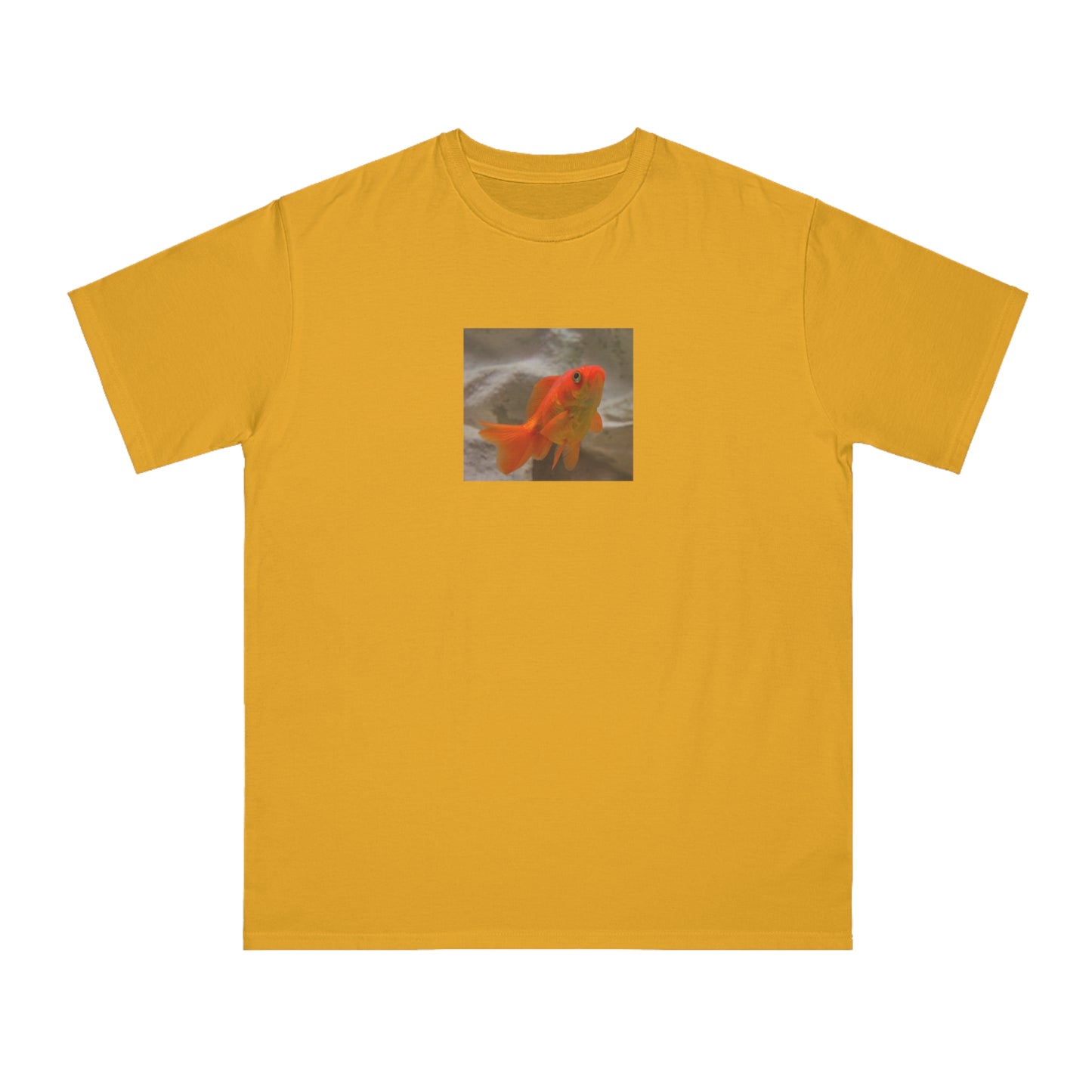 Goldfish