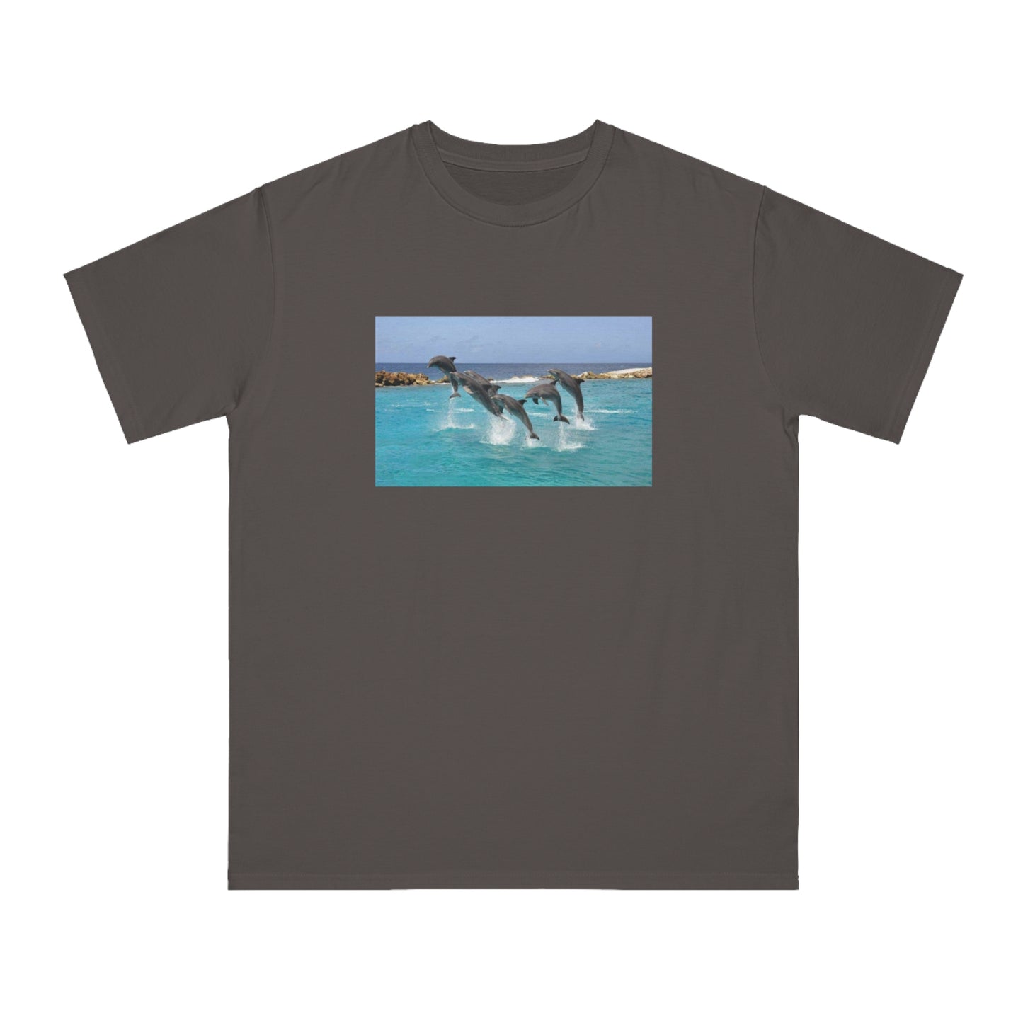 Dolphin