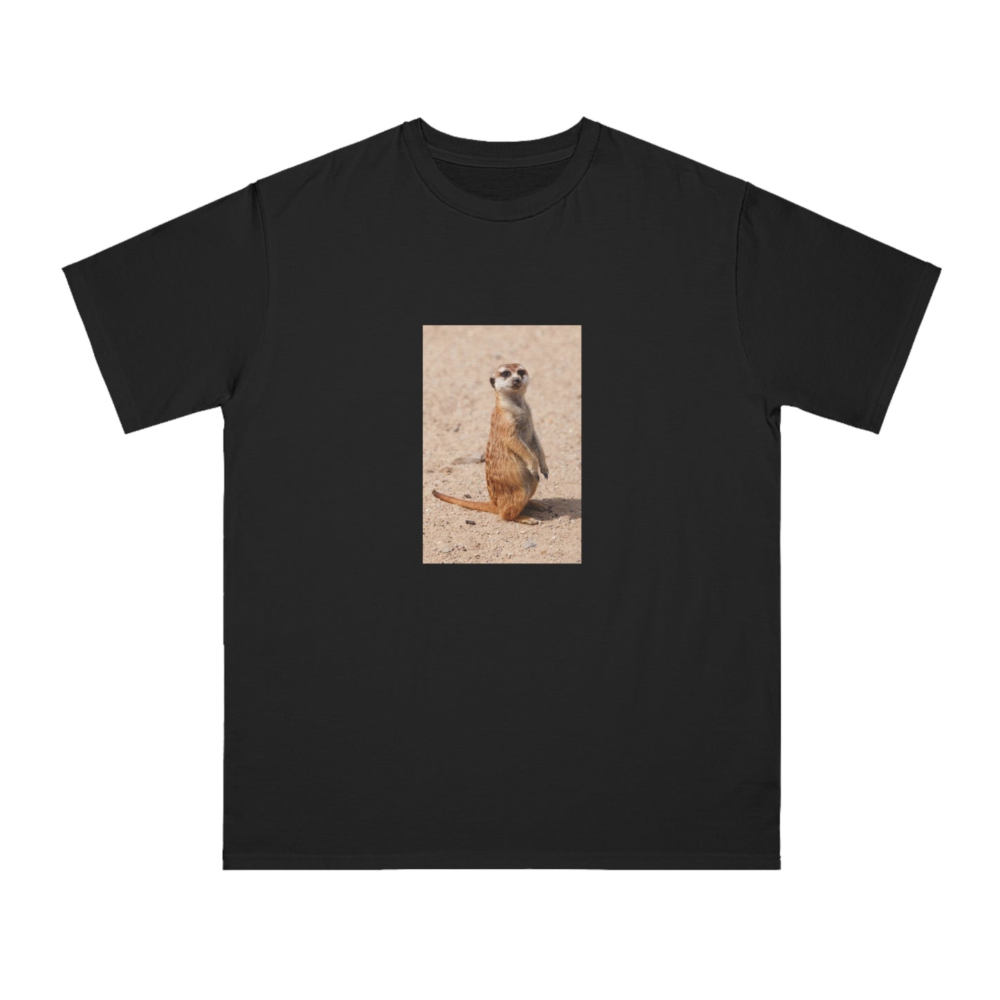 Meerkat