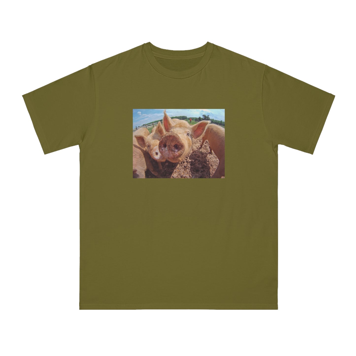 Pig