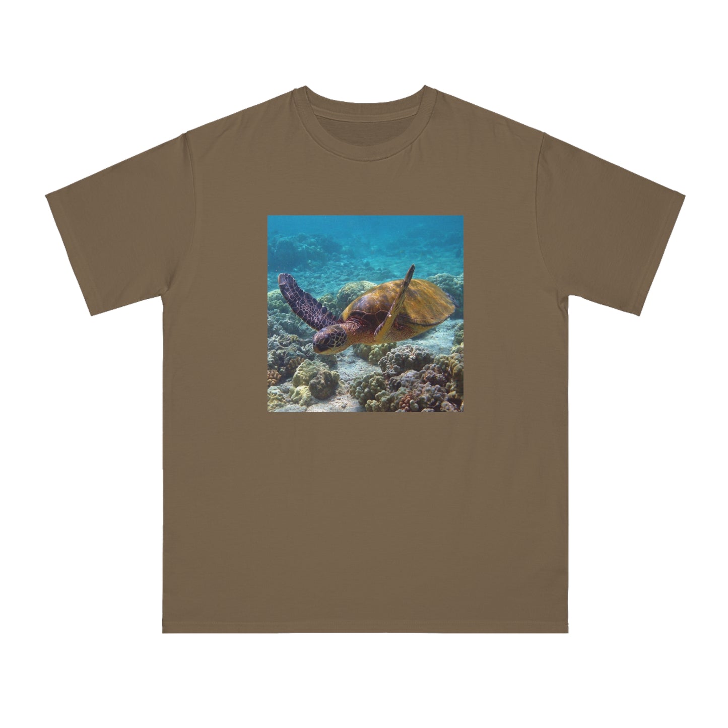 Sea Turtle