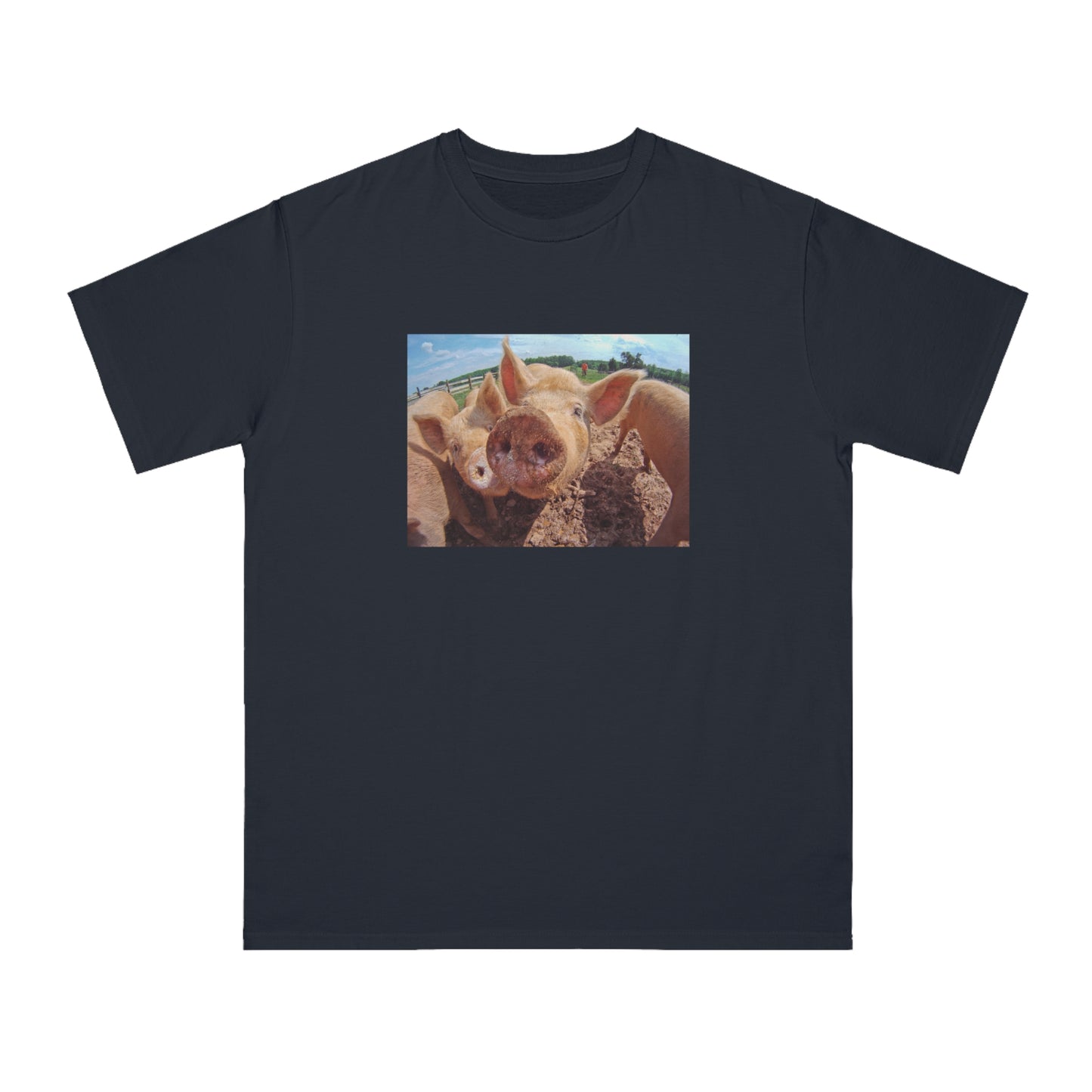 Pig