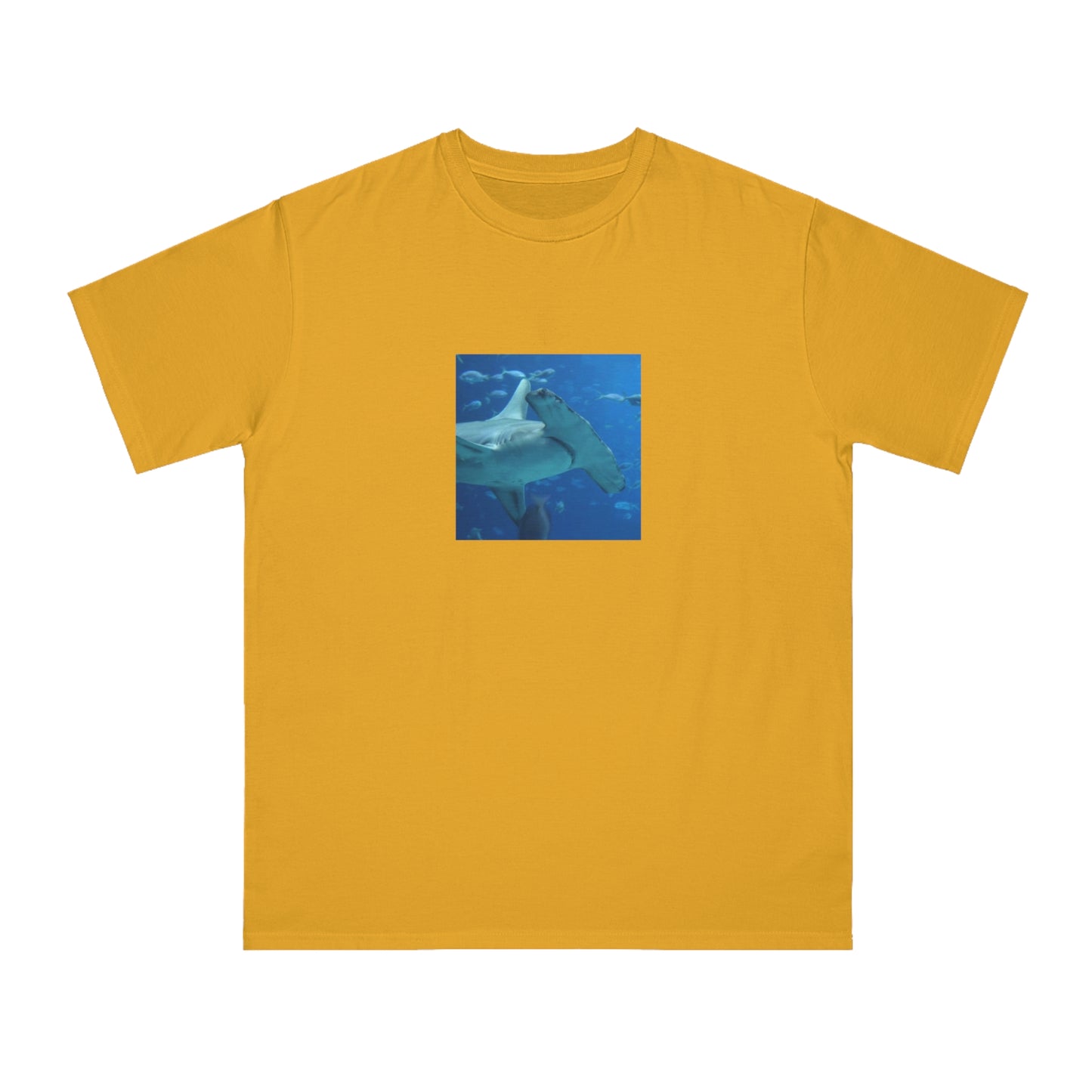 Hammerhead Shark