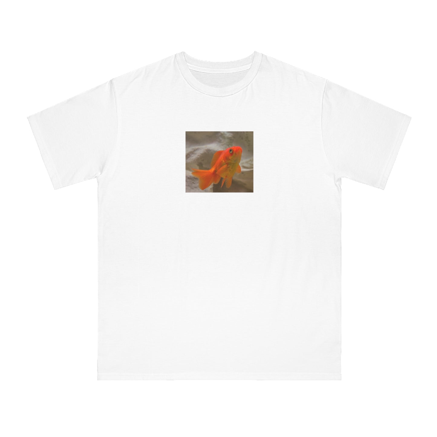 Goldfish