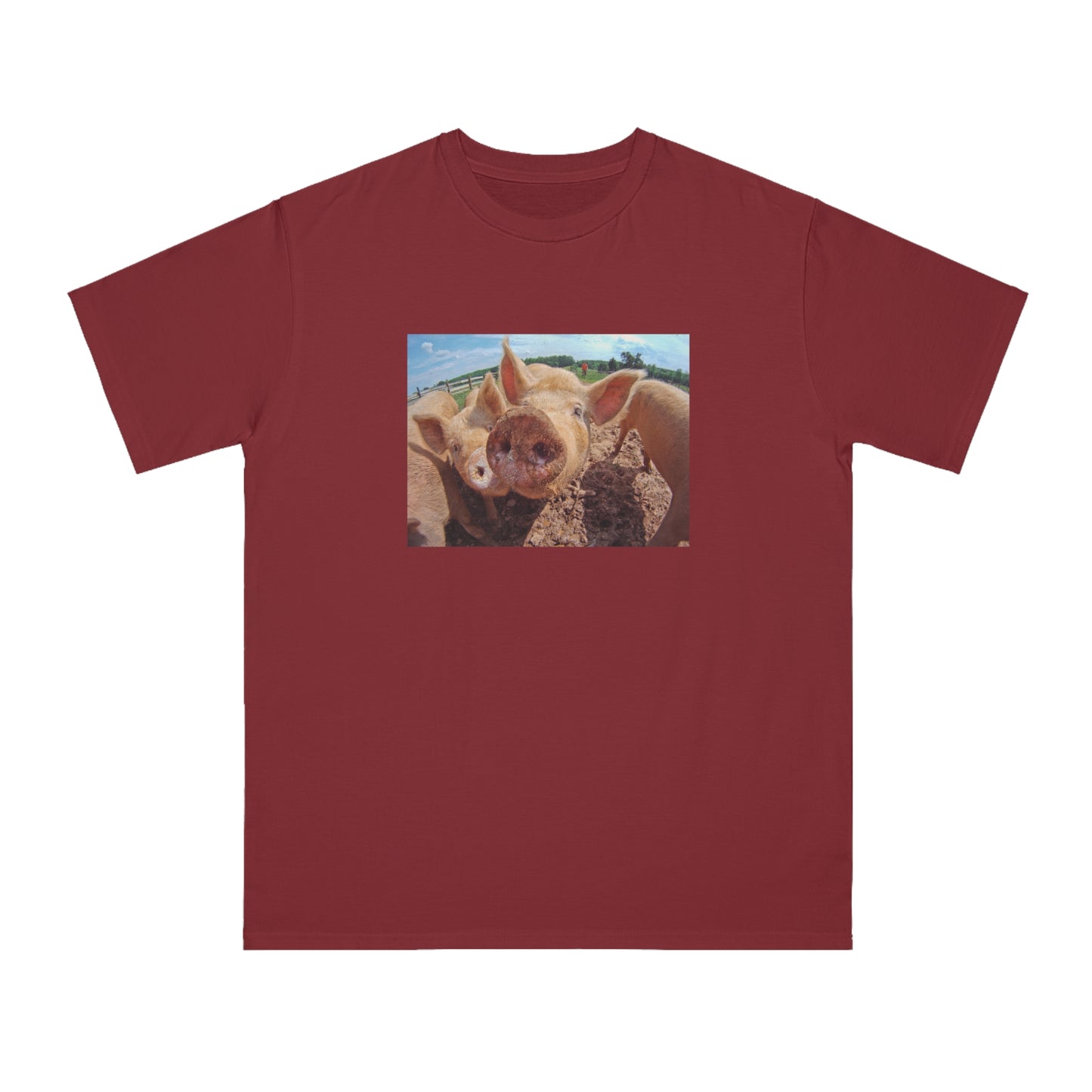 Pig