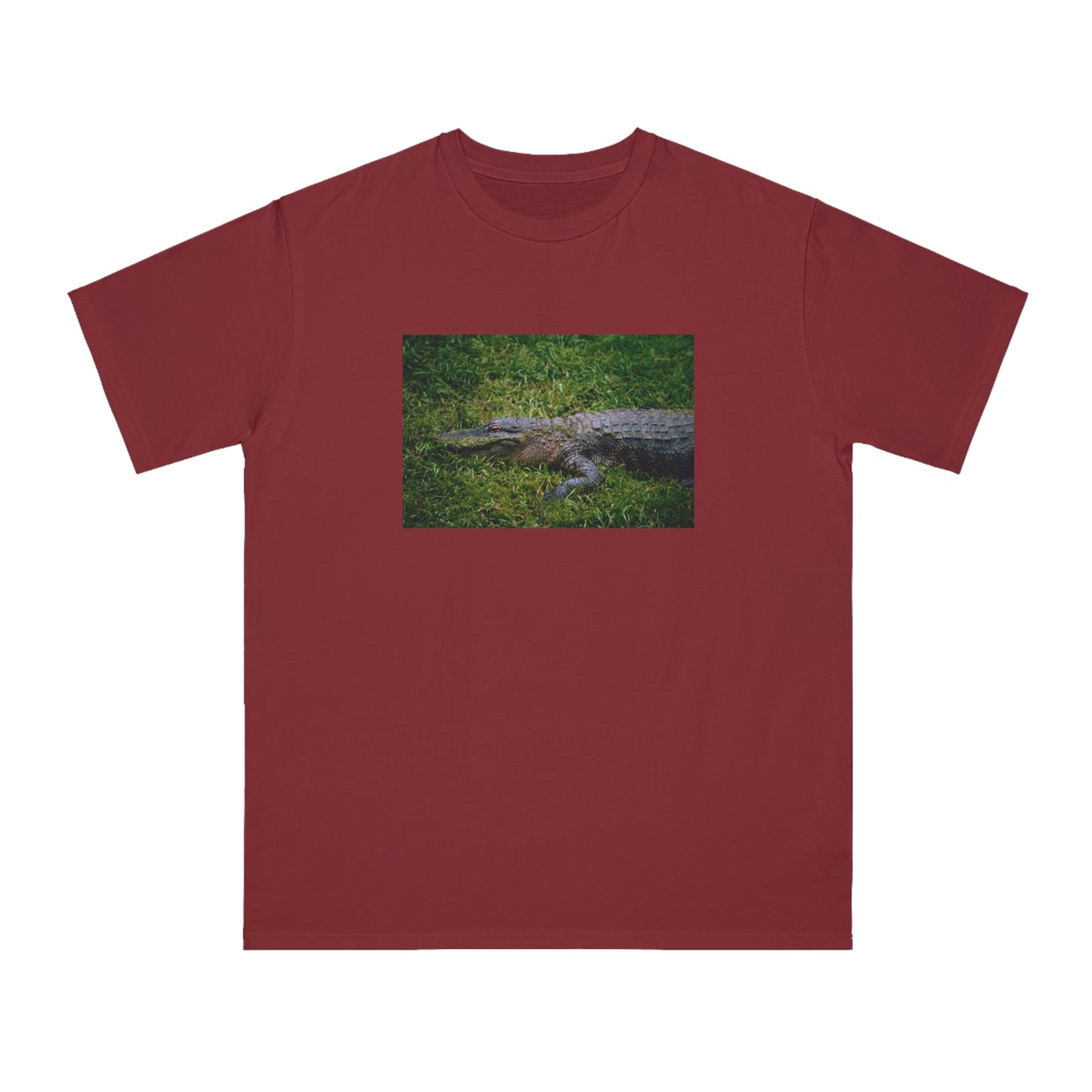 Alligator