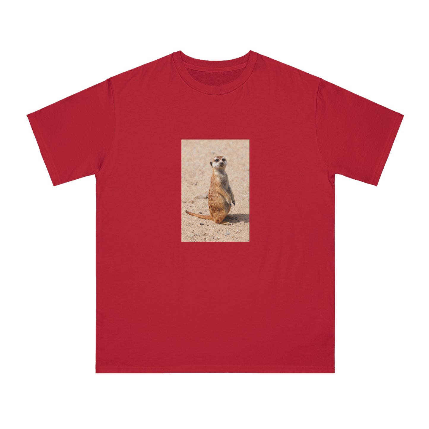 Meerkat