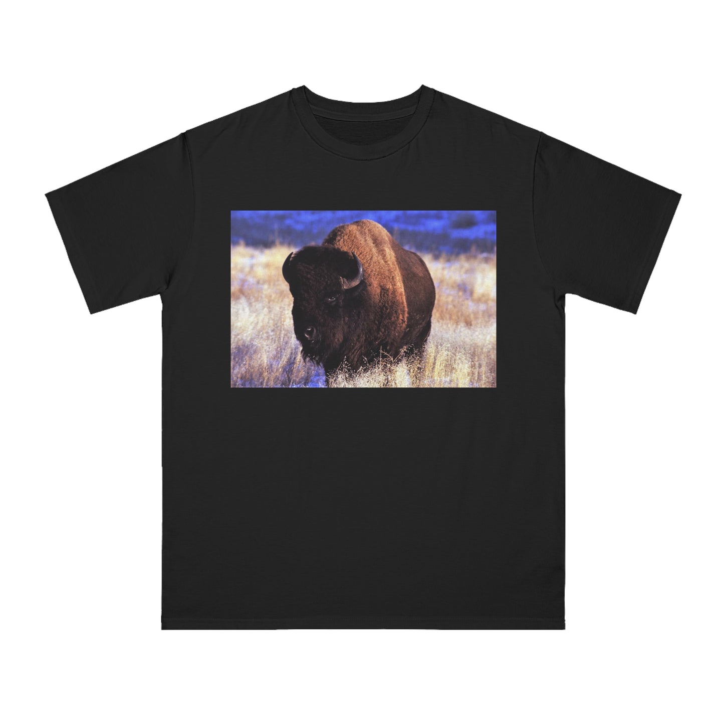 Buffalo