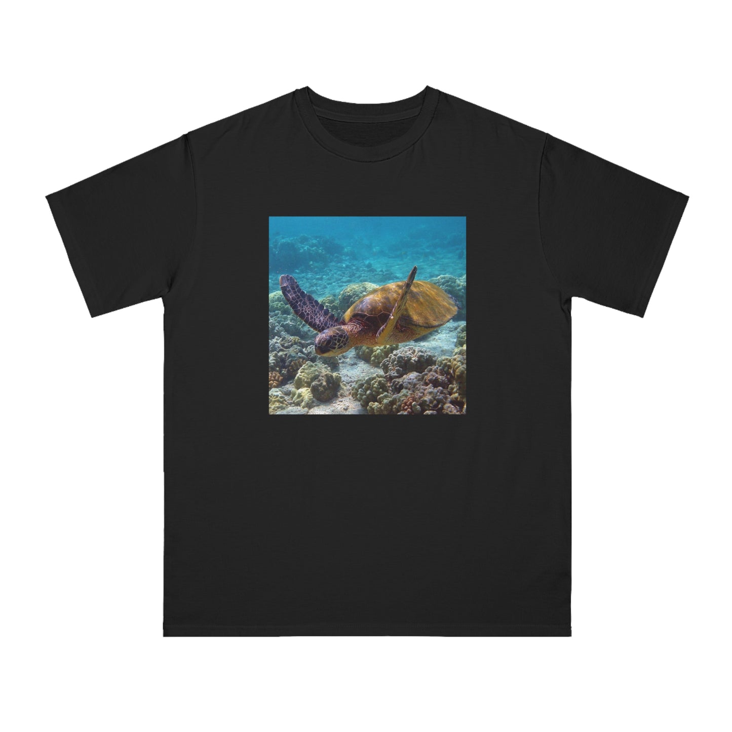Sea Turtle