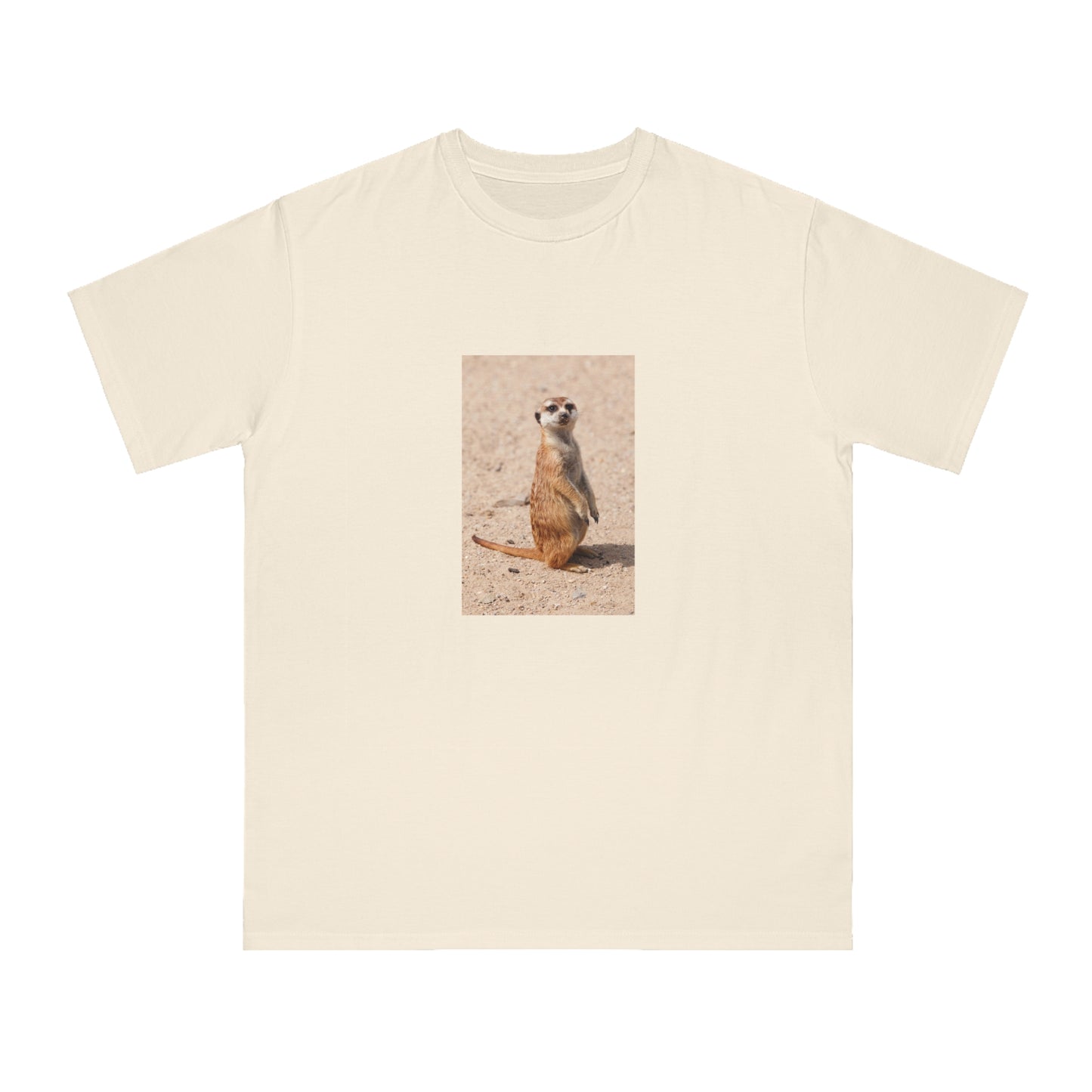 Meerkat