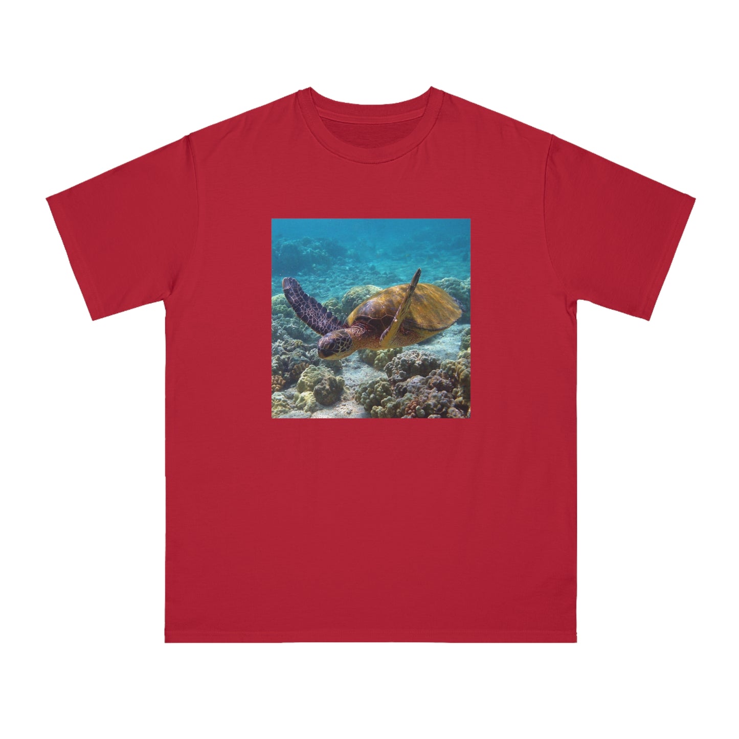 Sea Turtle