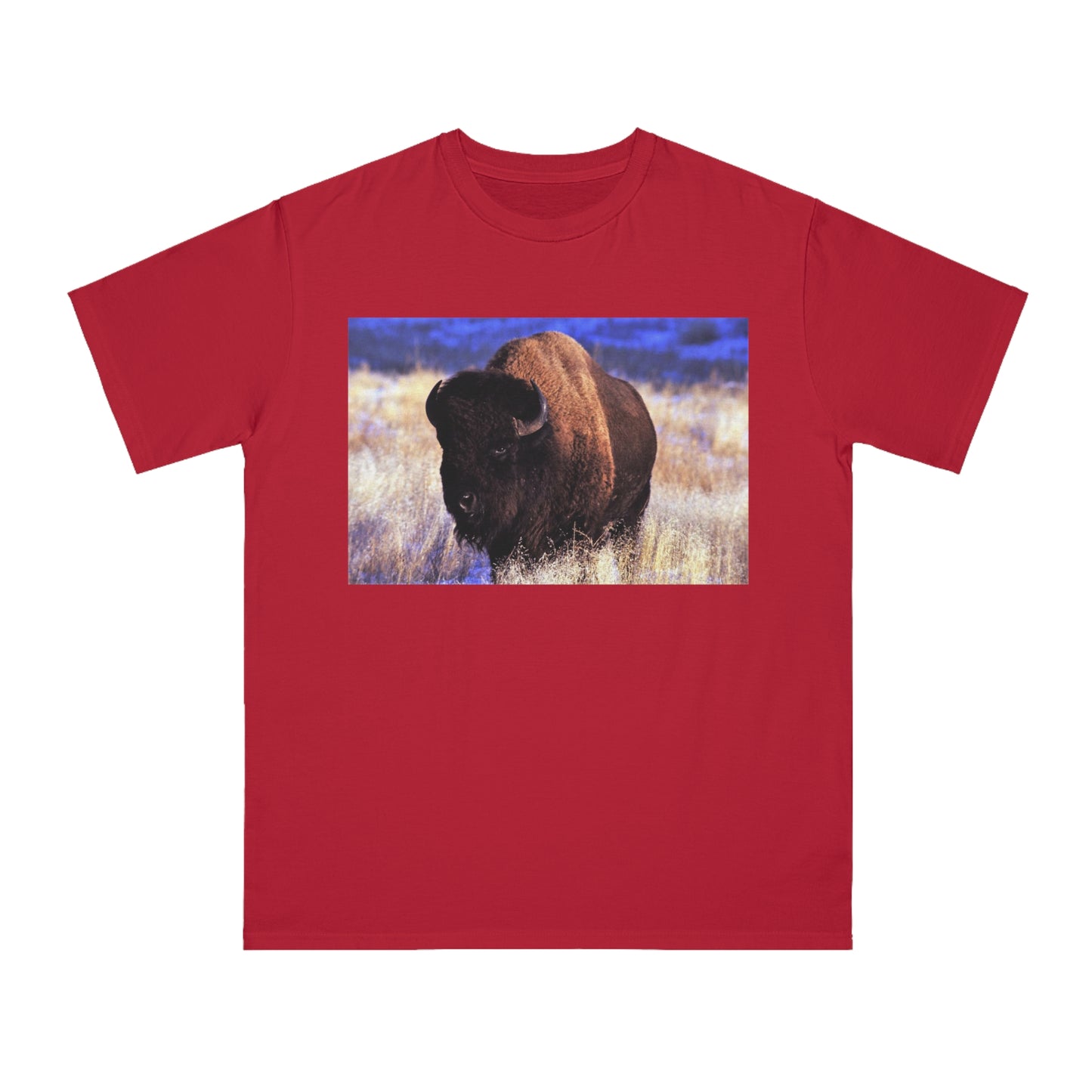 Buffalo
