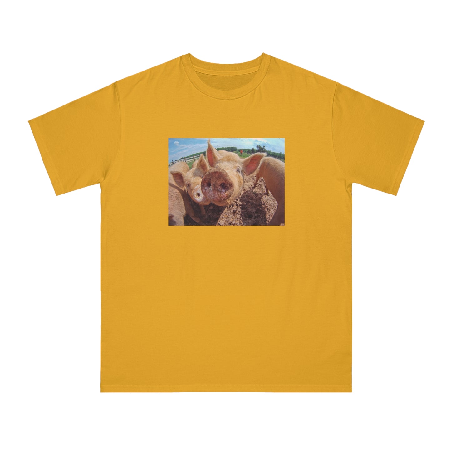 Pig