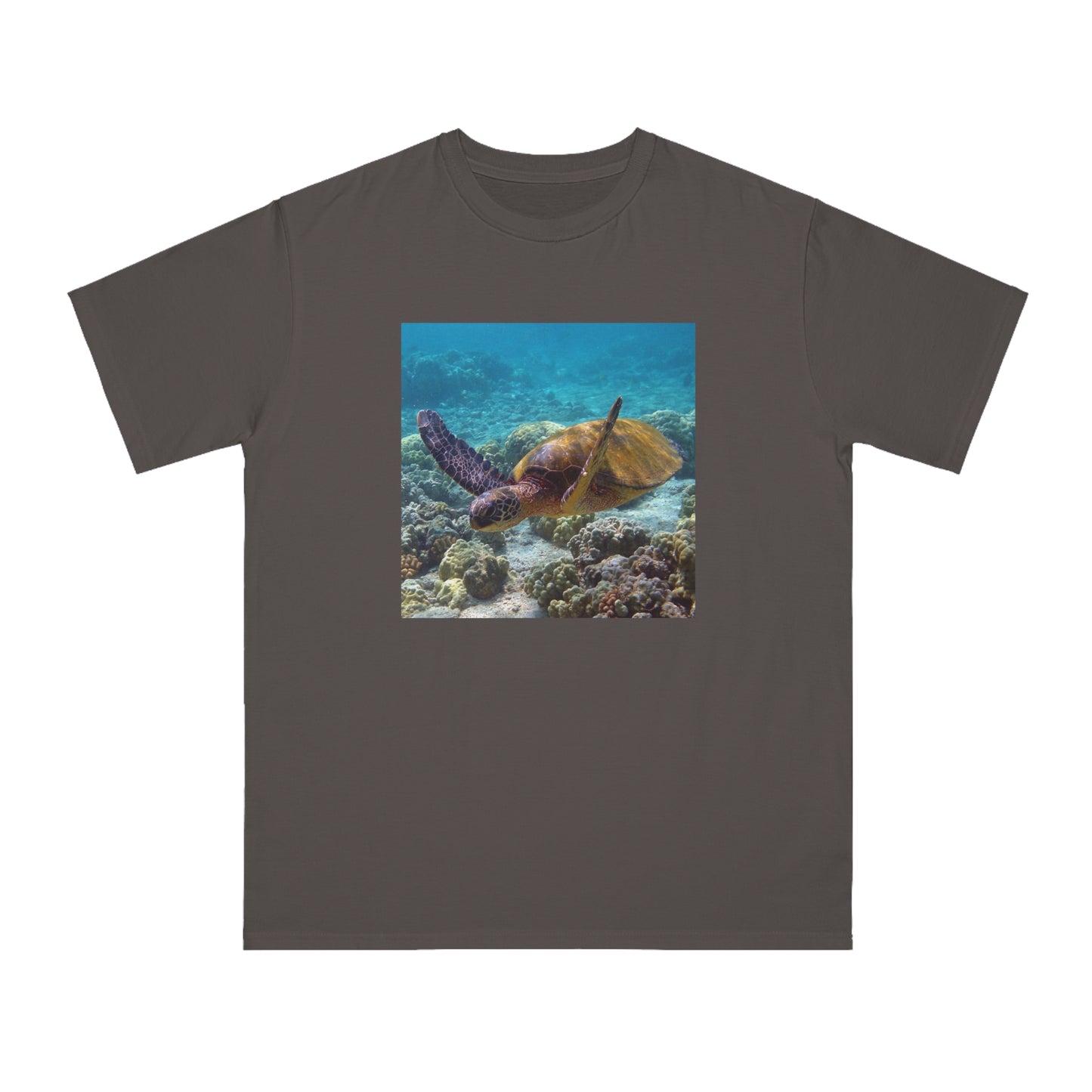 Sea Turtle