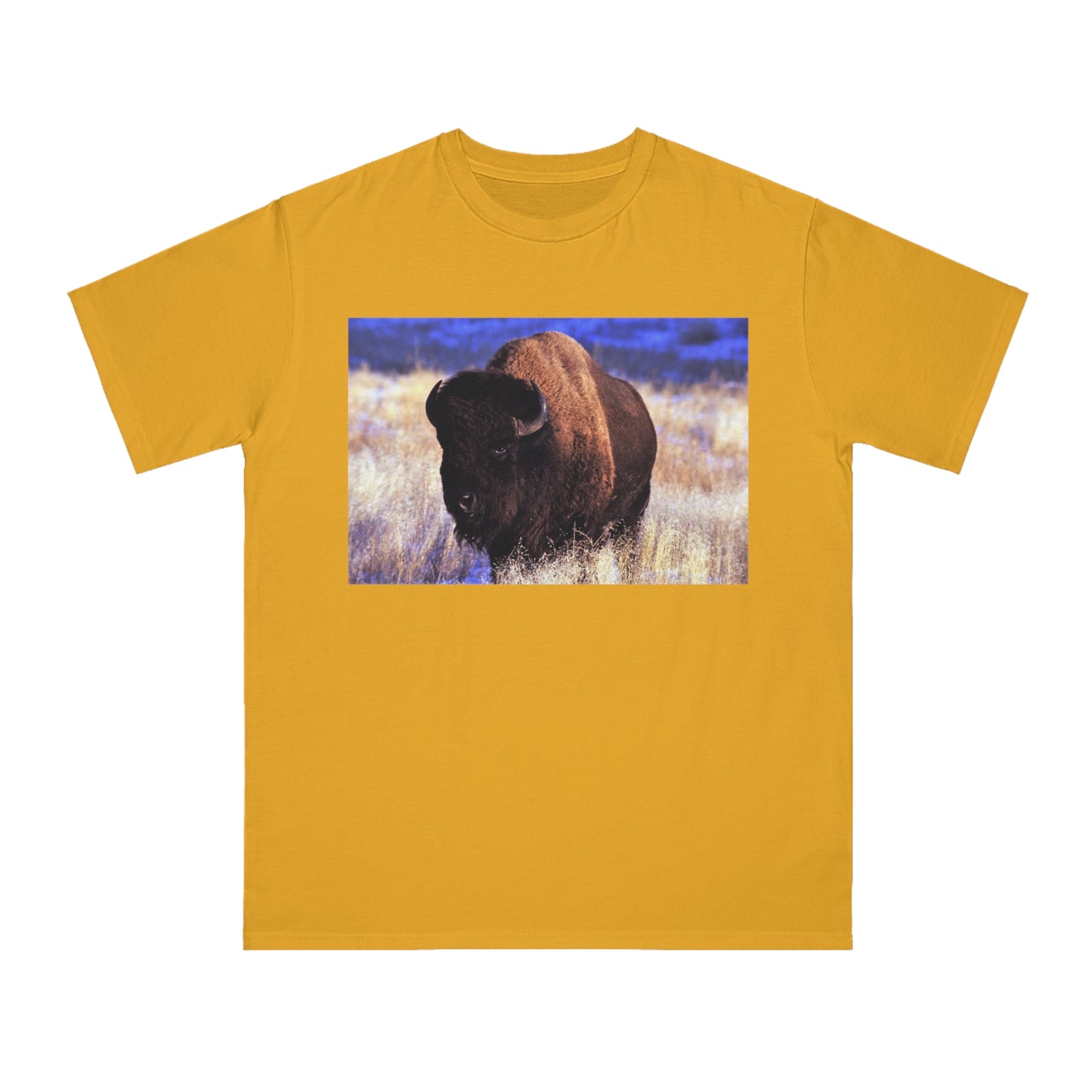 Buffalo