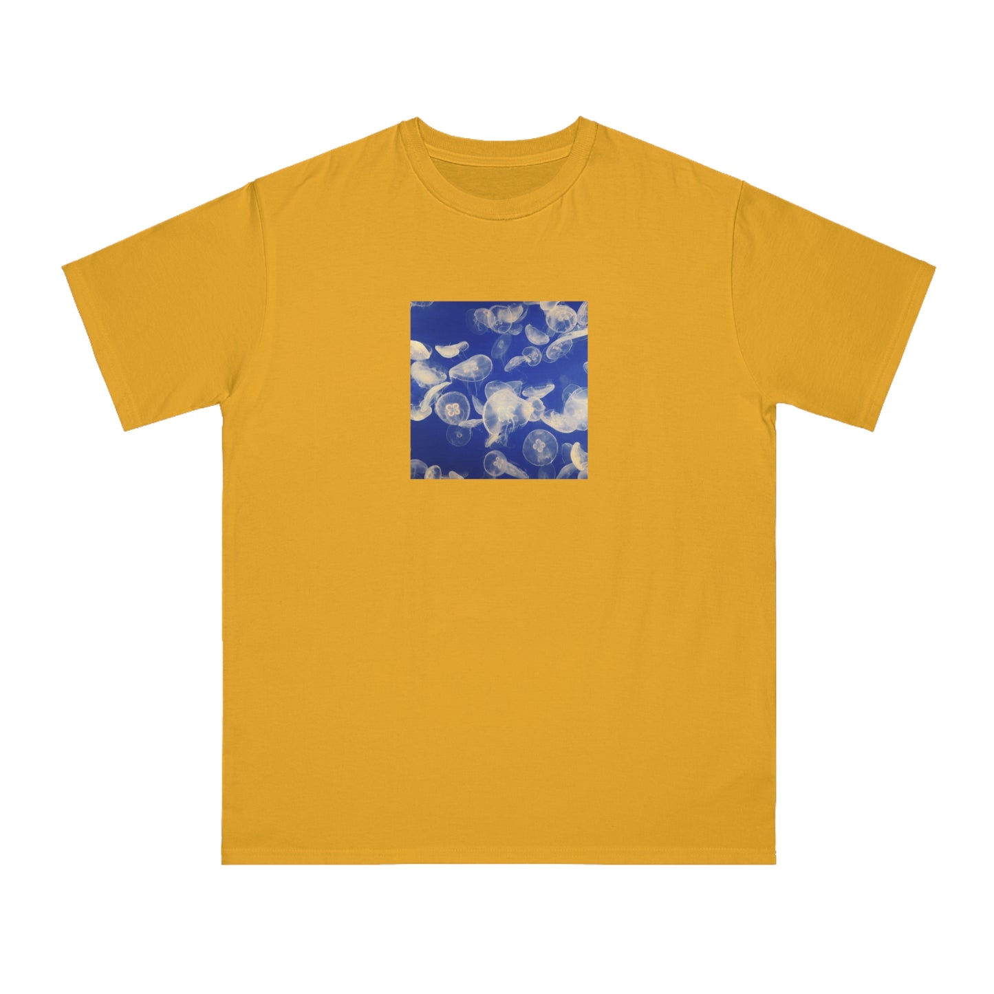 Jellyfish