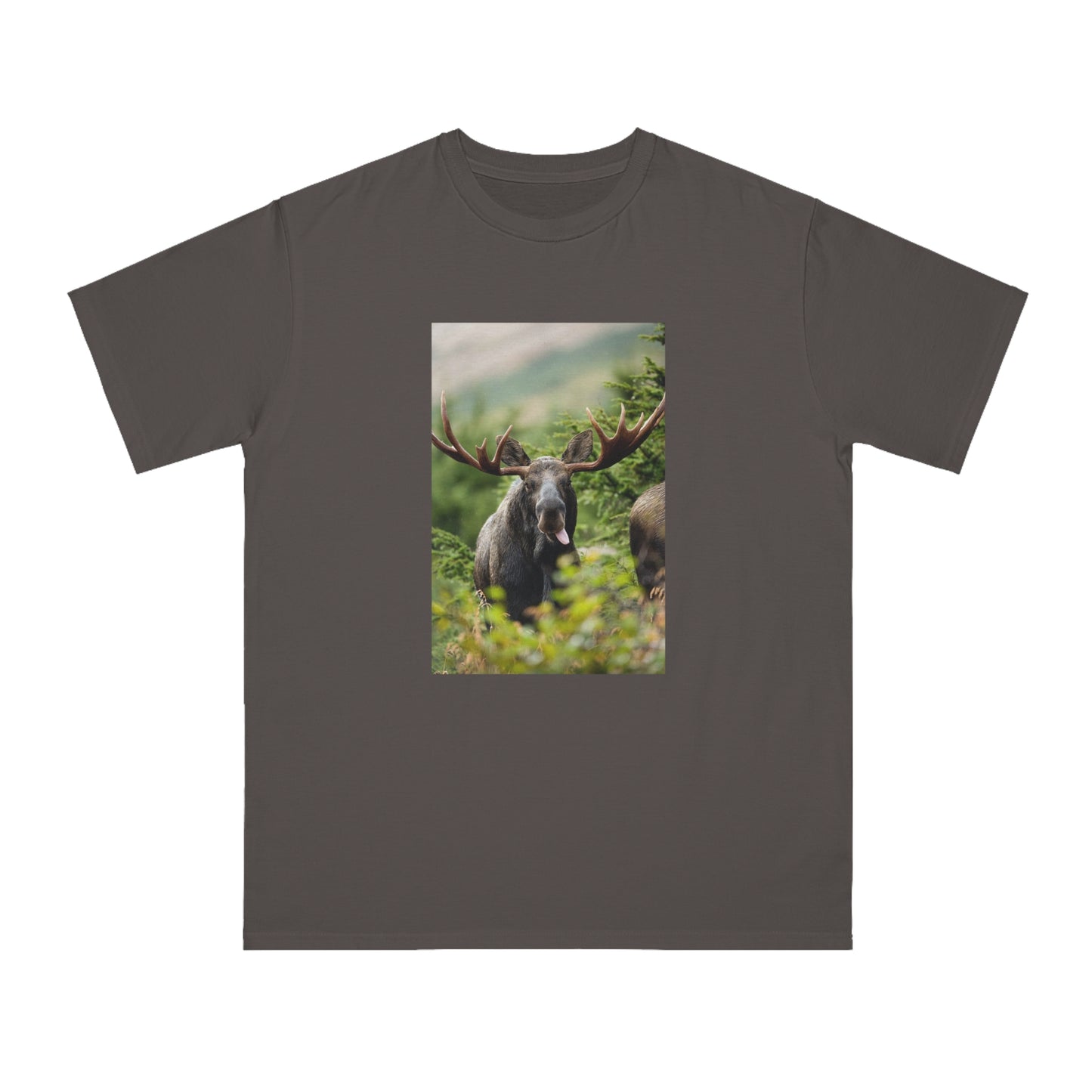 Moose