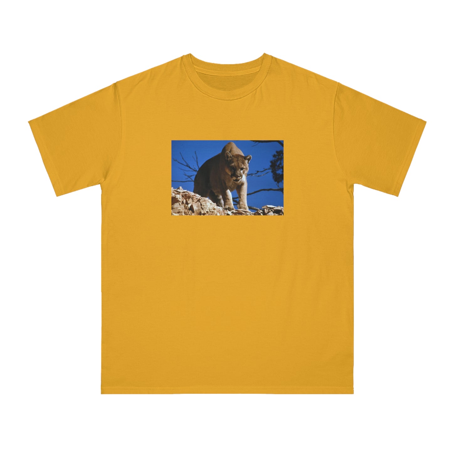 Mountain Lion