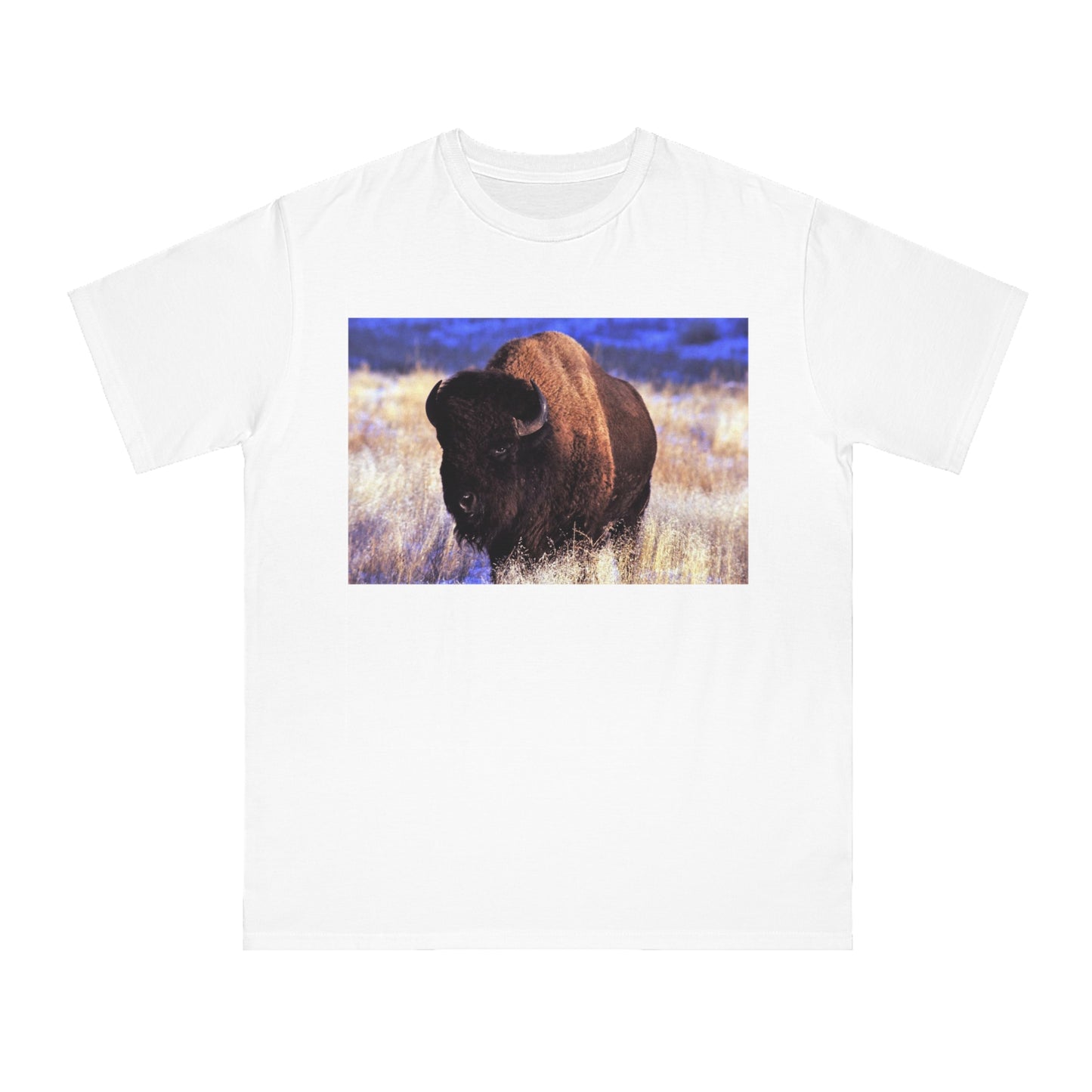 Buffalo